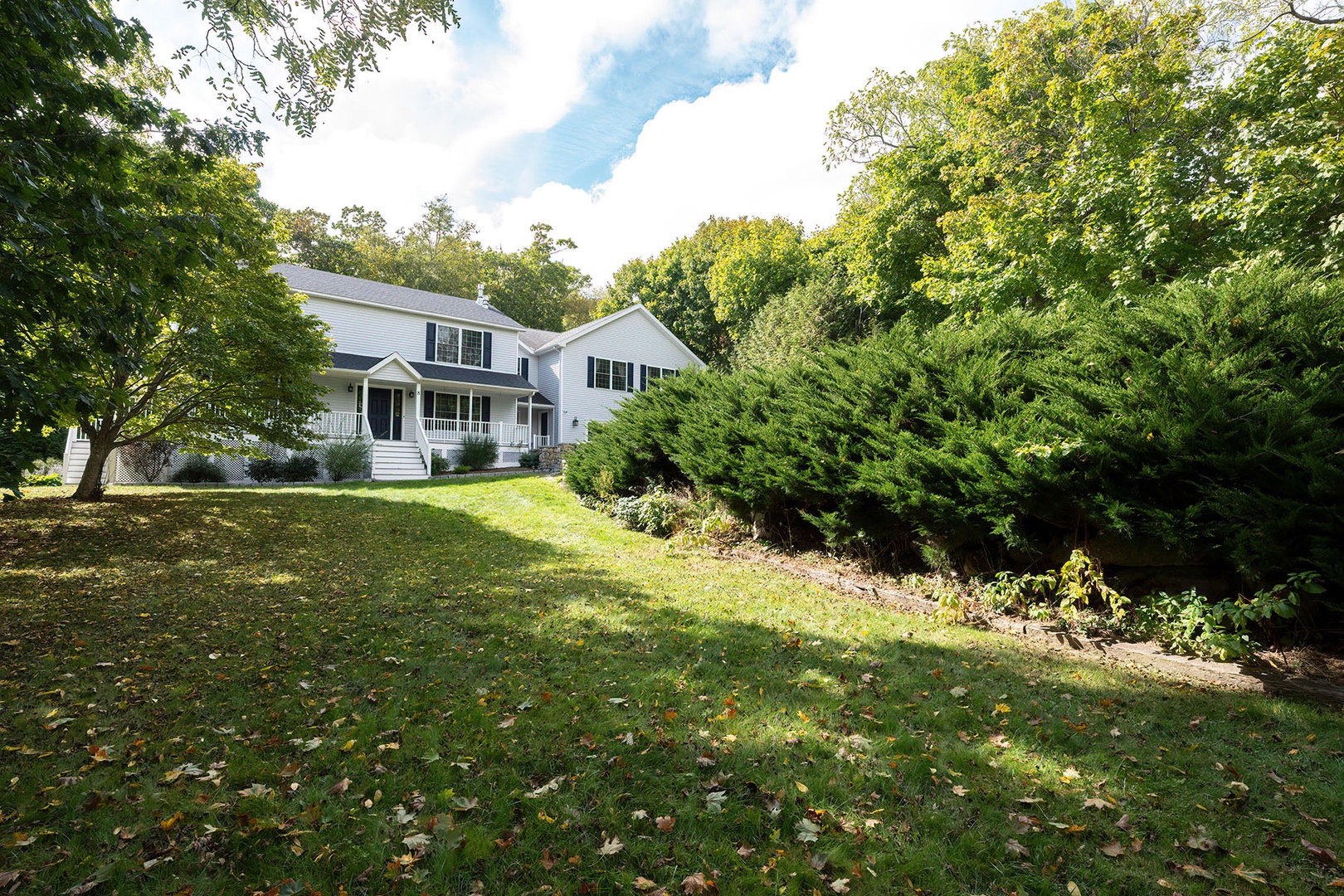 Front yard