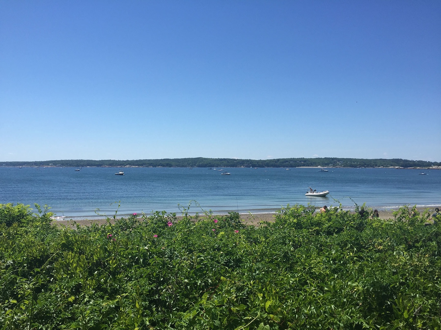 Niles Beach is a short walk away.