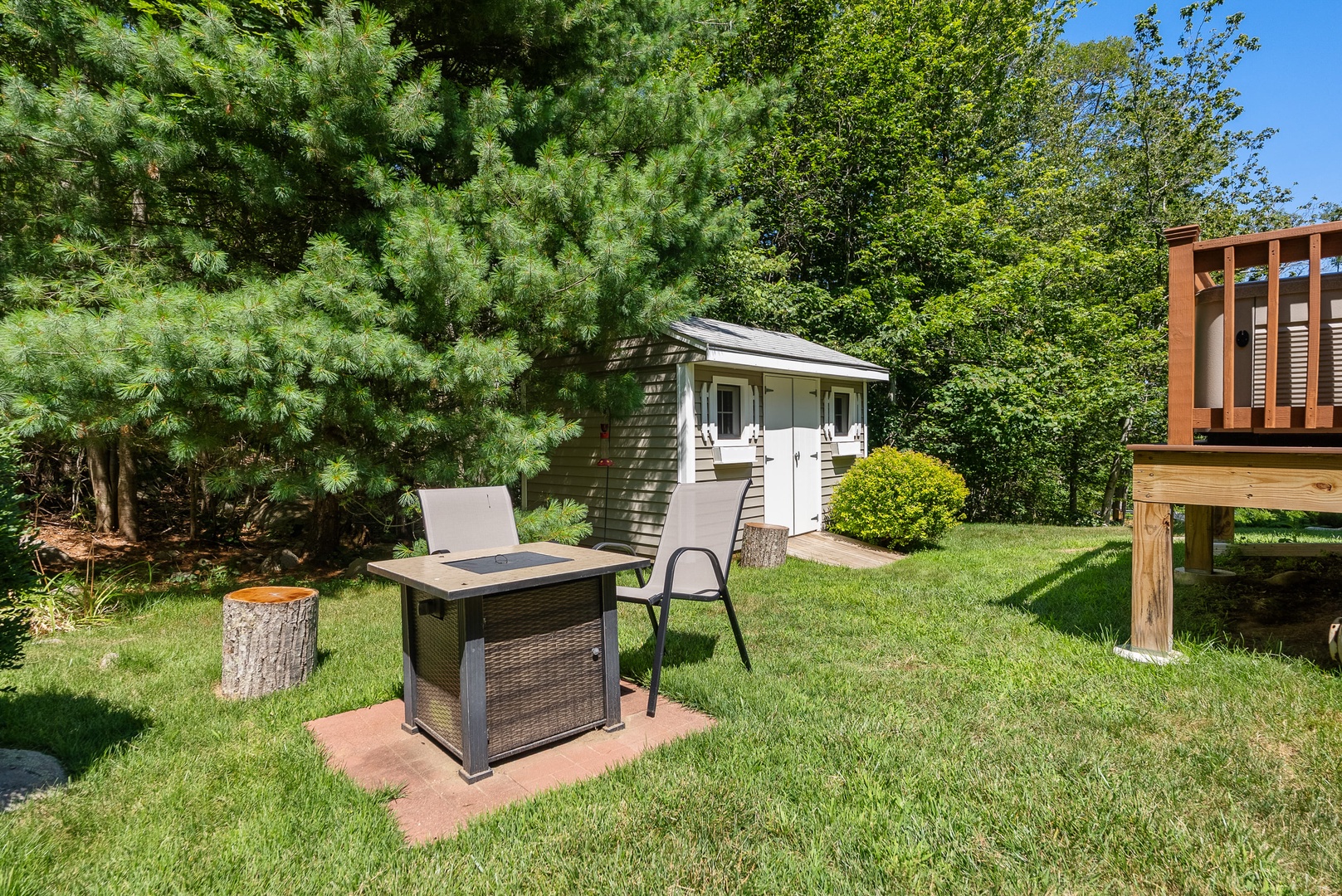 The backyard and garden area.