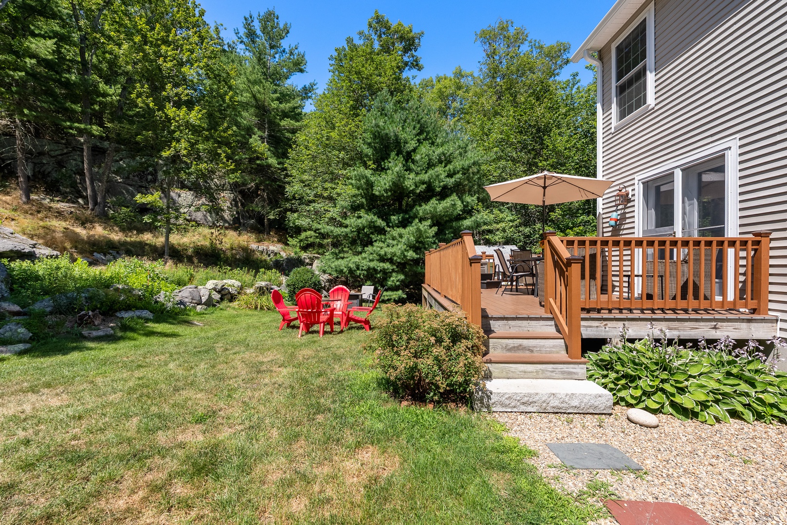 The backyard and garden area.
