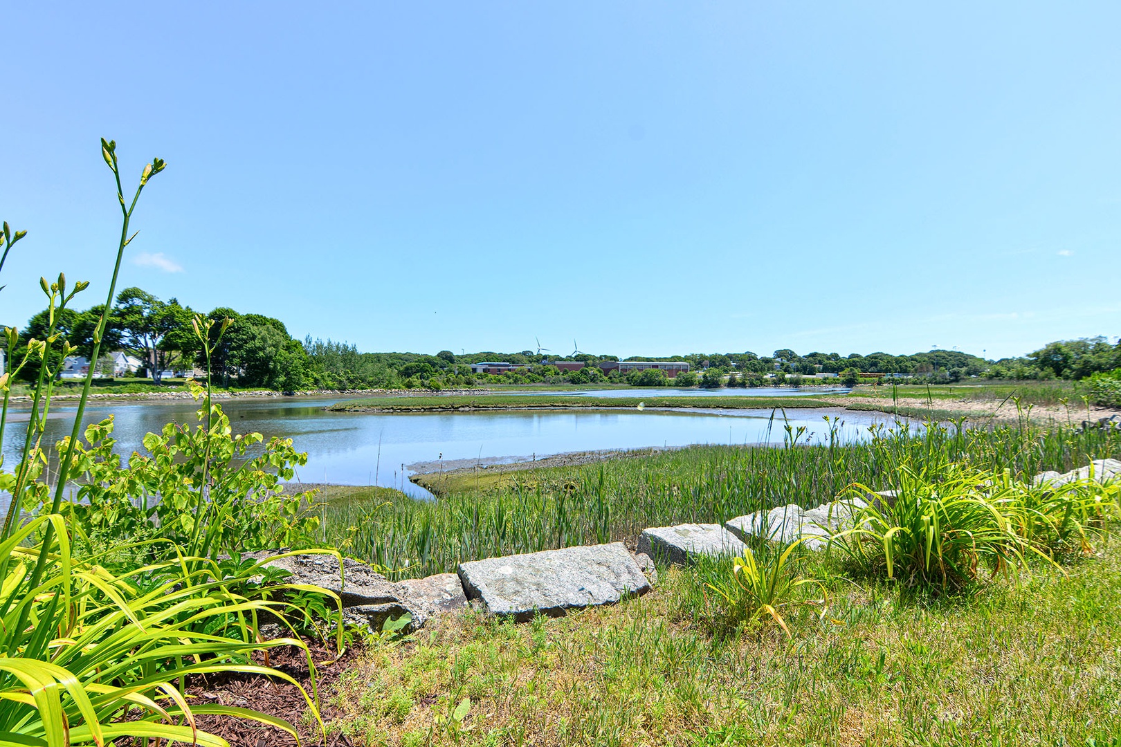 Views of the pond
