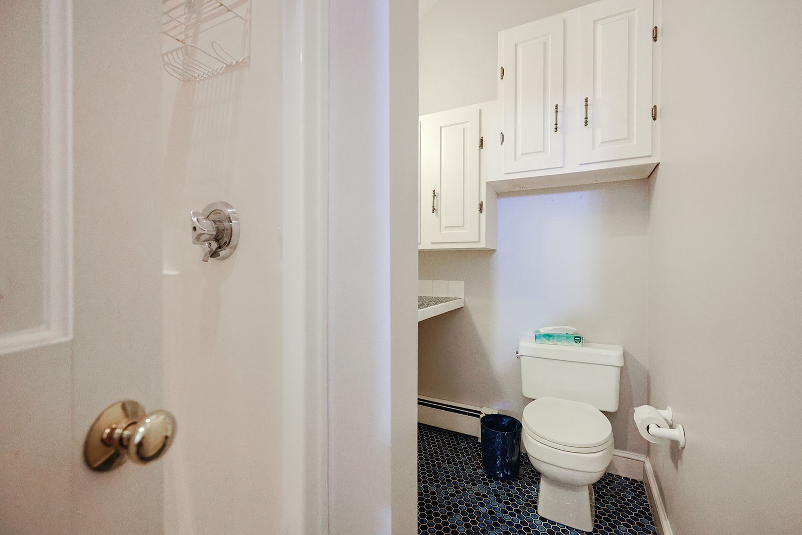 The in-law suite's bathroom.