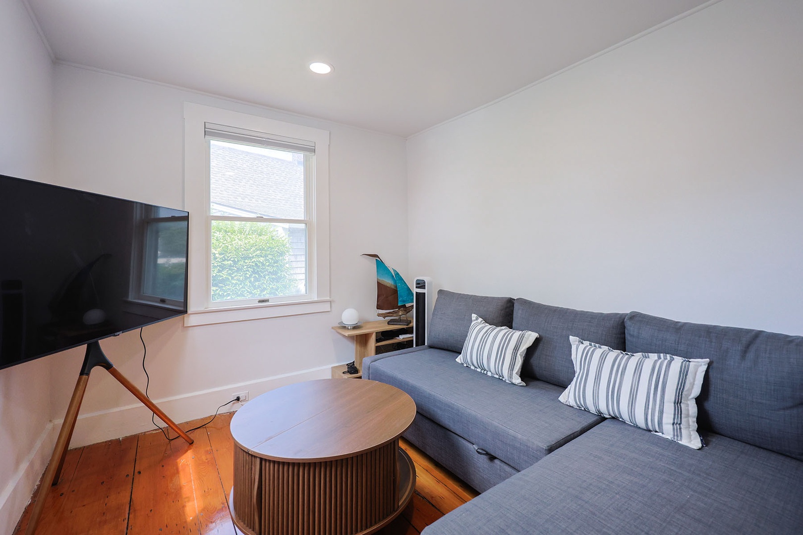 Ground floor den with a TV and a queen sized pull-out sofa.