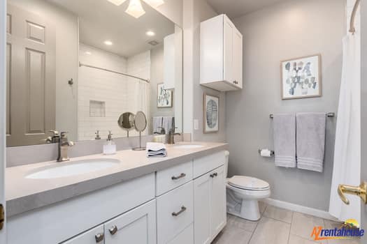 large-019c596c-ba90-729f-ad0c-6443723c305d