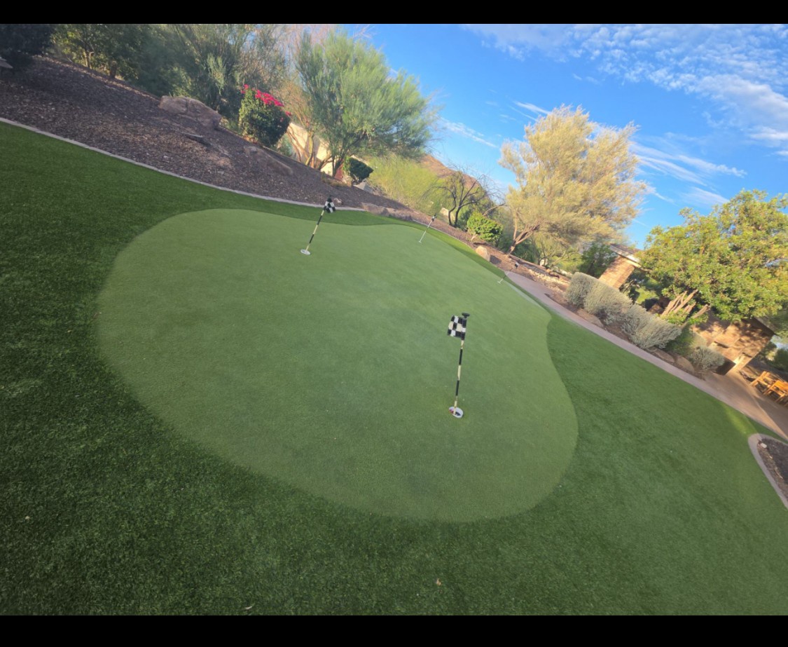 Private putting green surrounded by desert landscaping and mature trees, offering resort-style recreation on the property grounds.