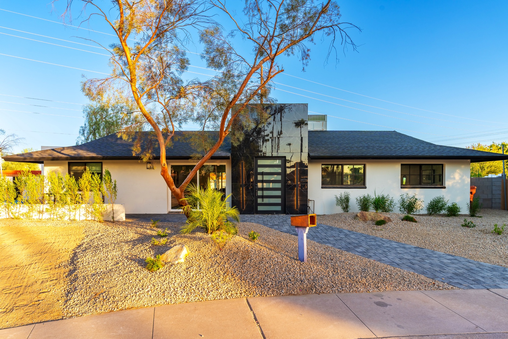 Modern desert retreat with contemporary design, featuring a striking front entrance and distinctive desert landscaping with mature trees and native plantings in a peaceful residential setting.