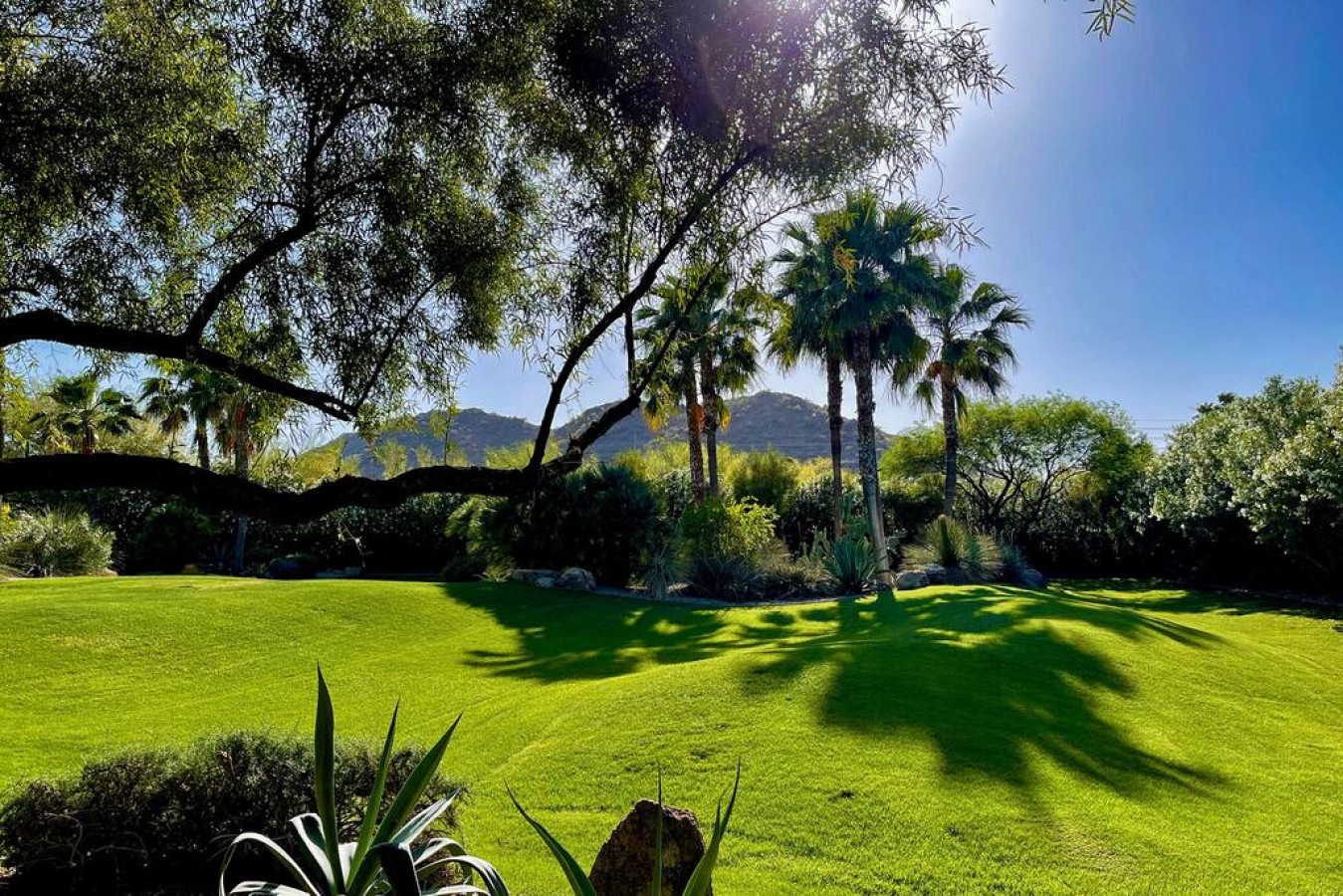 15204-193693-jf2GngwiX9n6OmMCkglOCYtHM18slhd8zffBhyNUxZc-64f8f549ae2ab