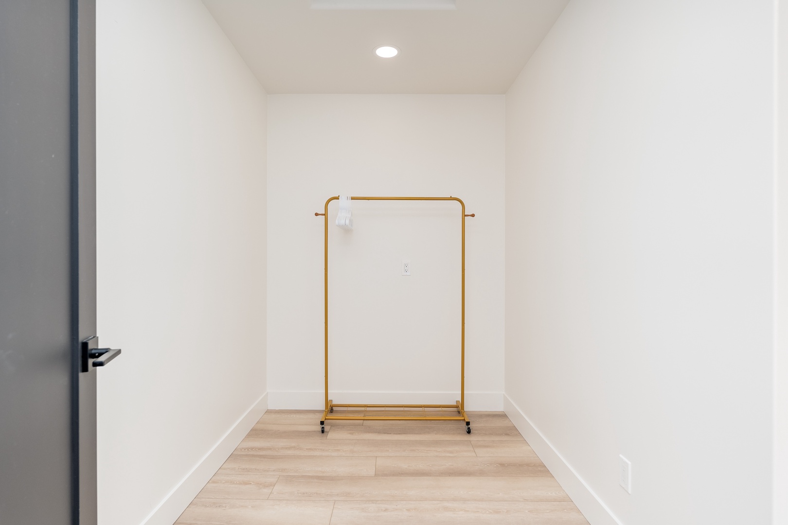 A spacious walk-in closet awaits your wardrobe, with a sleek gold clothing rack and warm wood floors creating your perfect dressing retreat.