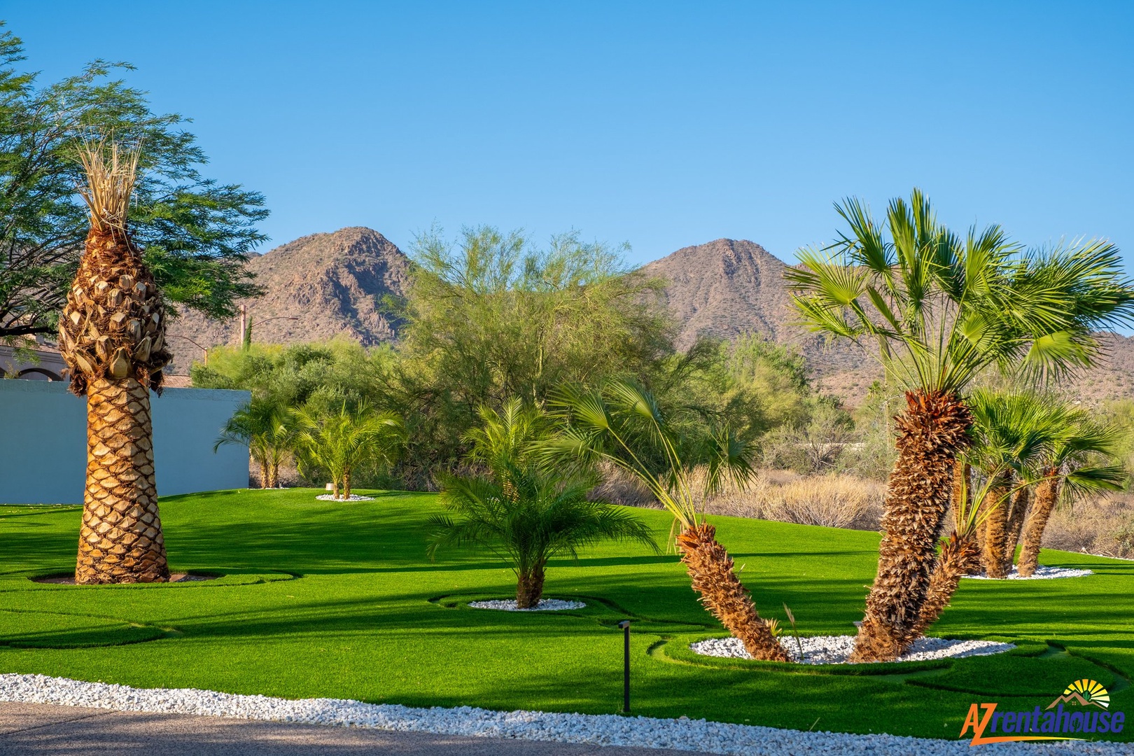 Desert oasis with manicured lawns, swaying palms, and dramatic mountain backdrop creating a serene Arizona escape.