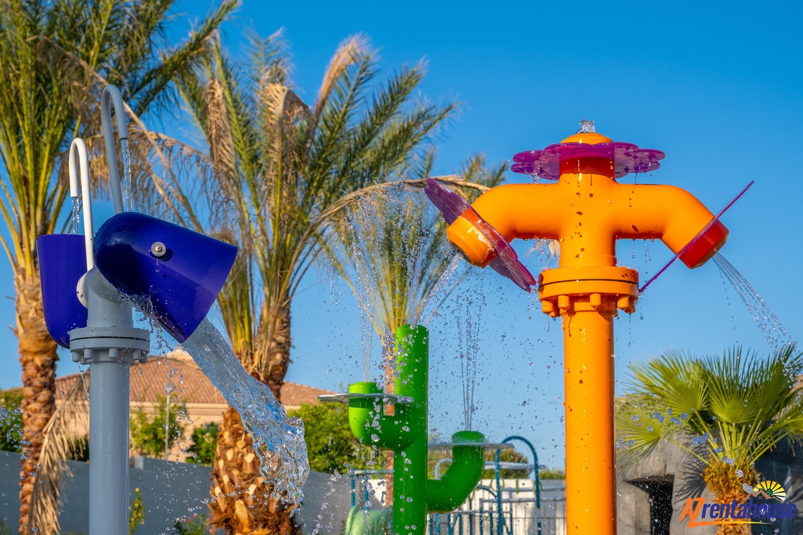 Colorful water playground features with interactive splash zones and tropical palm trees creating the perfect family fun atmosphere.