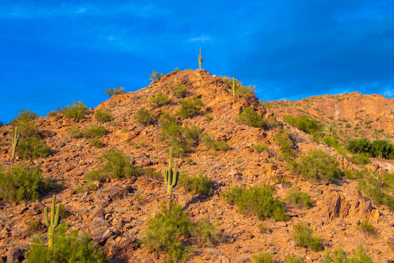 15204-195434-1HQCPP1K7lX2WKiby--4IpYU2n1qD2GbulN2U2TTi8nU-650499e7332df