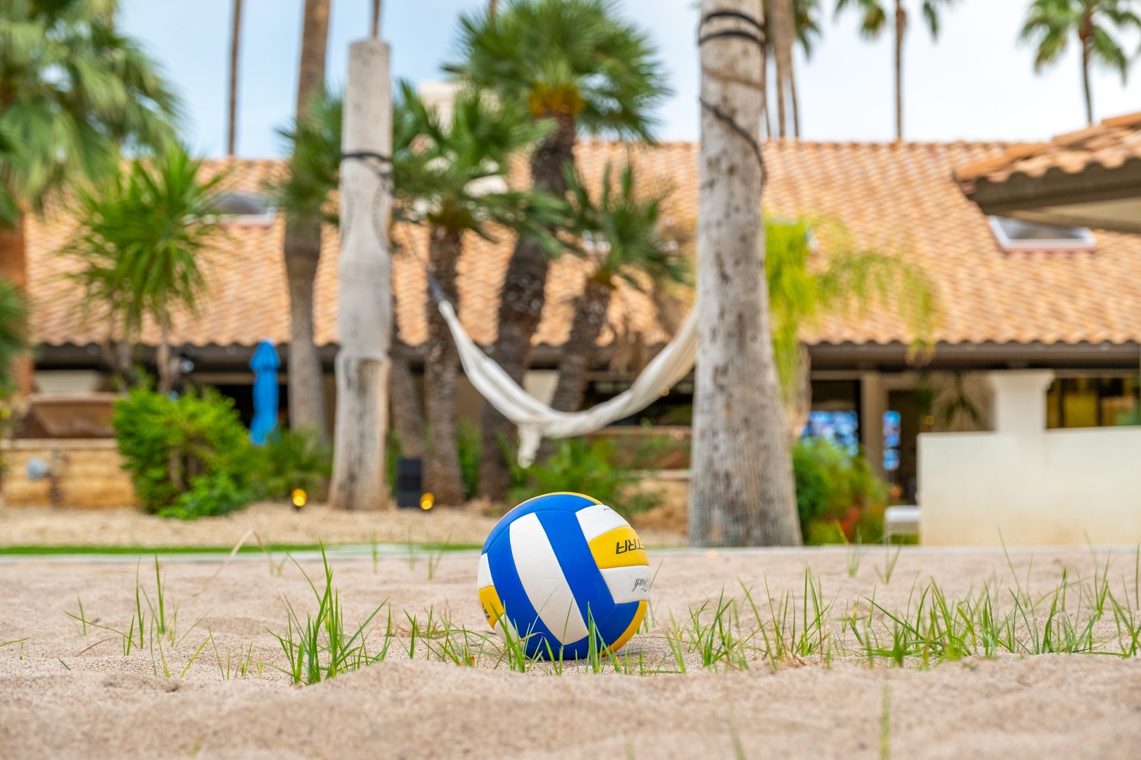 A beachside property surrounded by tropical palms and sandy grounds, featuring volleyball and a hammock, offering a relaxed coastal atmosphere perfect for vacation getaways.