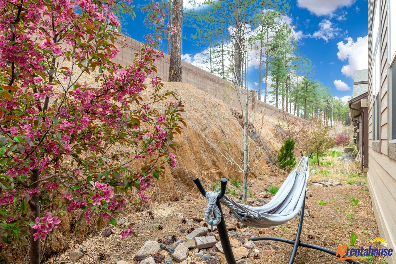 15204-388487-4C4x0j7-WlL5cixz4egA9x626R6M6qnBD7--qPQBVHS0-68c074188e109