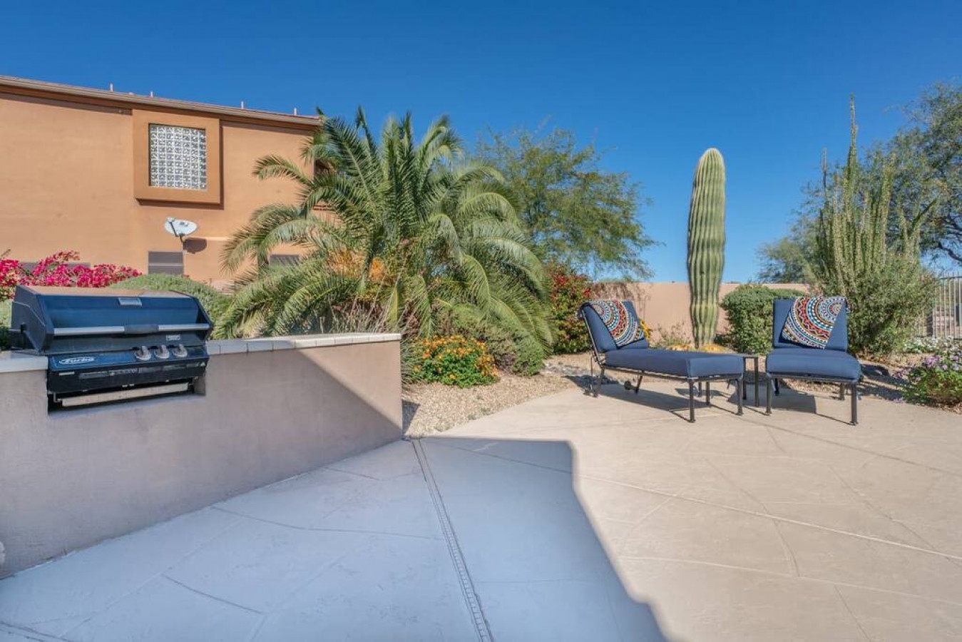 Your private desert oasis awaits with outdoor seating, BBQ grill, and stunning Sonoran landscape featuring towering saguaro cacti.
