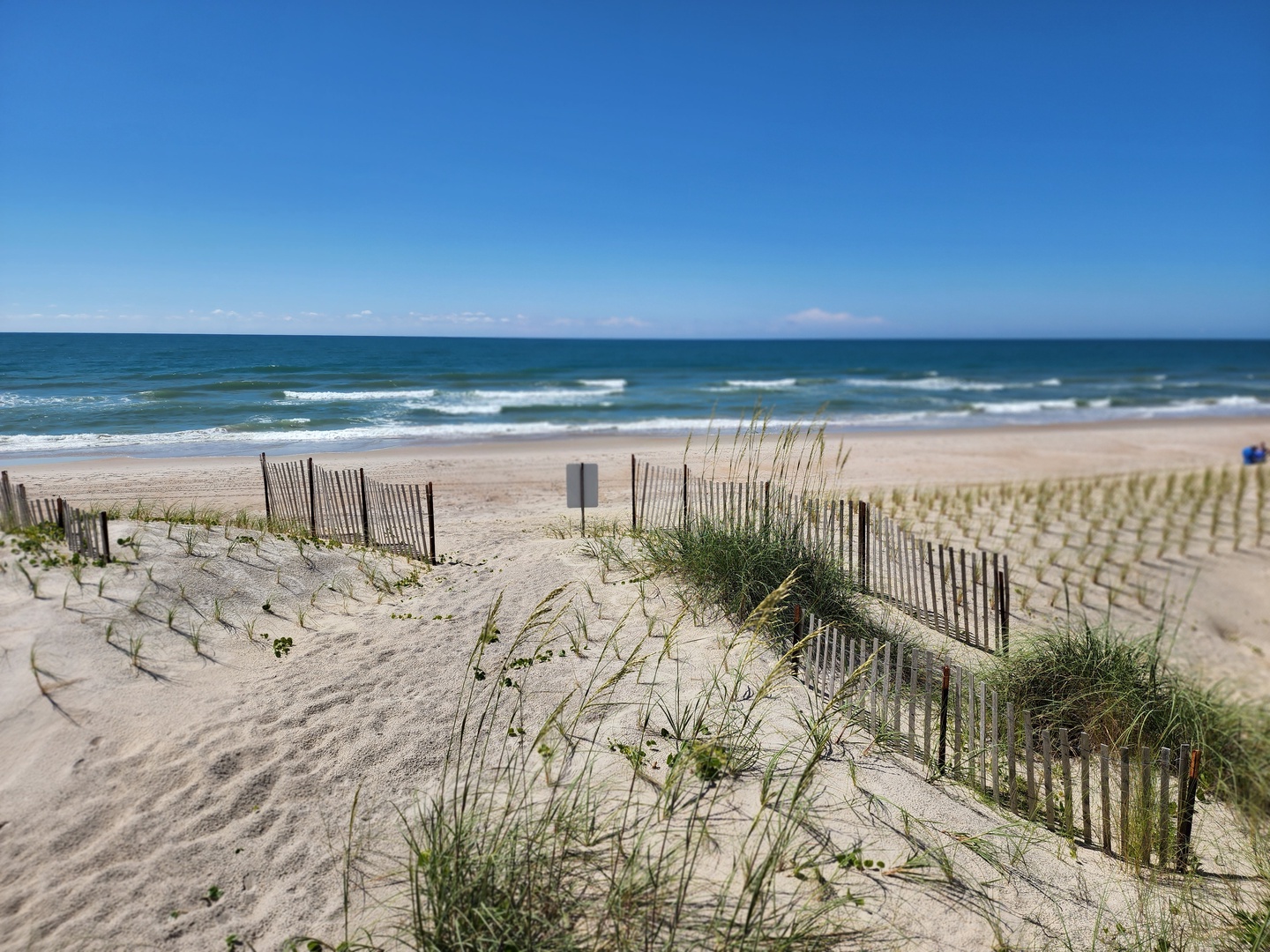 Sandy Toes and Salty Kisses