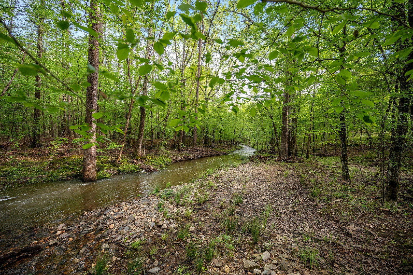 La Casita on 8 Acres w/ Creek