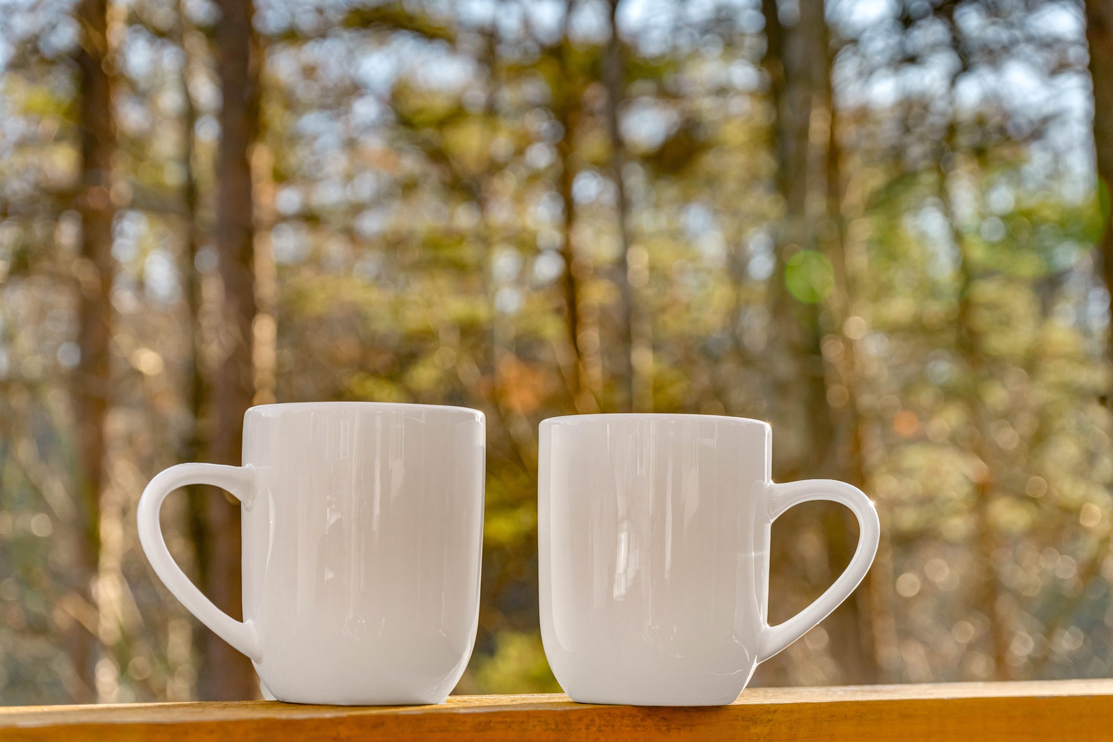 19 - 11-28-23 Iris Court_115