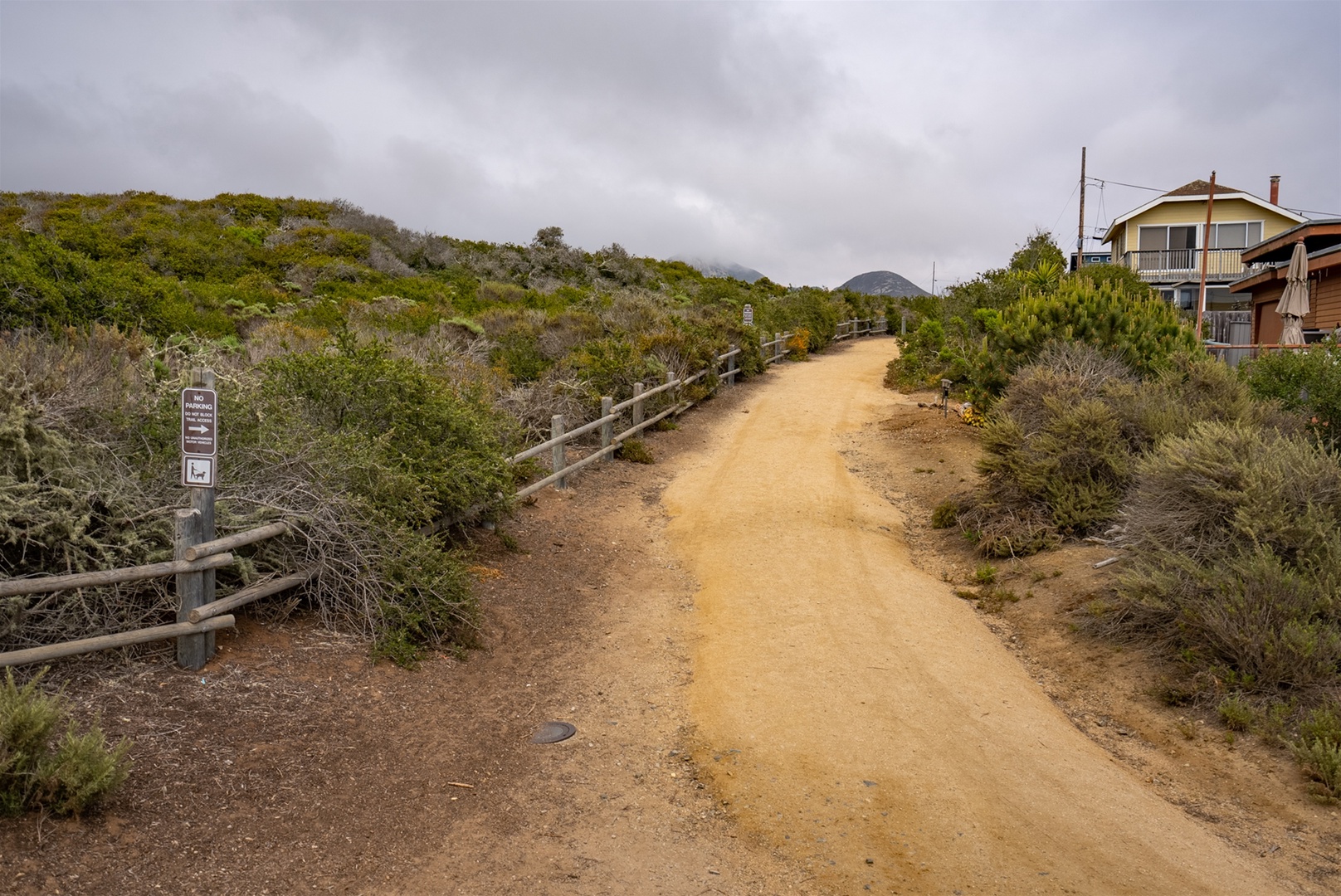 Well maintained dirt path for the hikers of the group.