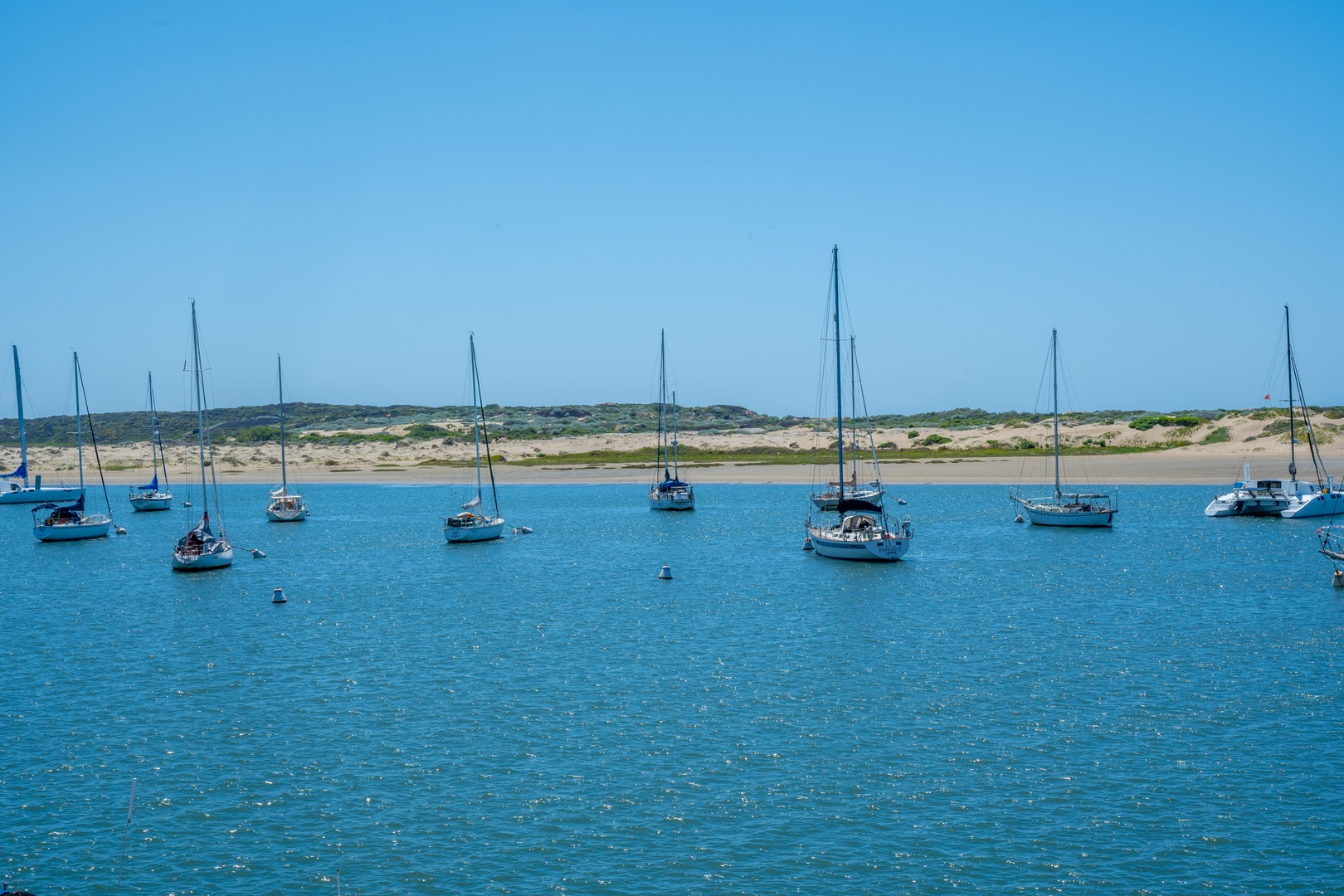 Harbor Views await