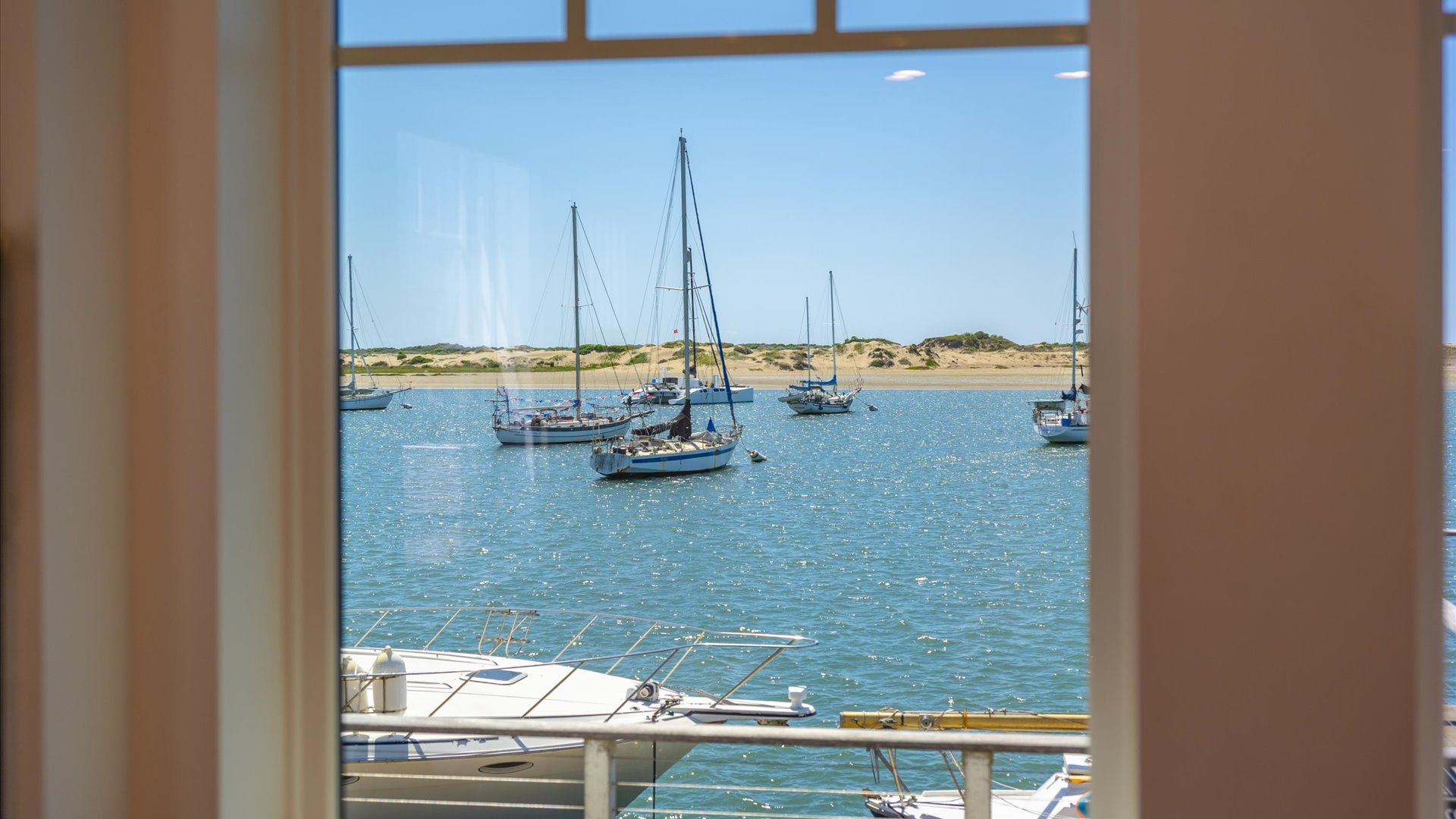 Boats, seals, and never ending harbor life just outside your door