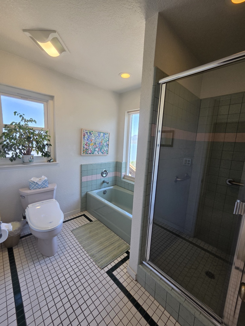 En suite master bath with soaking tub and seperate step in shower