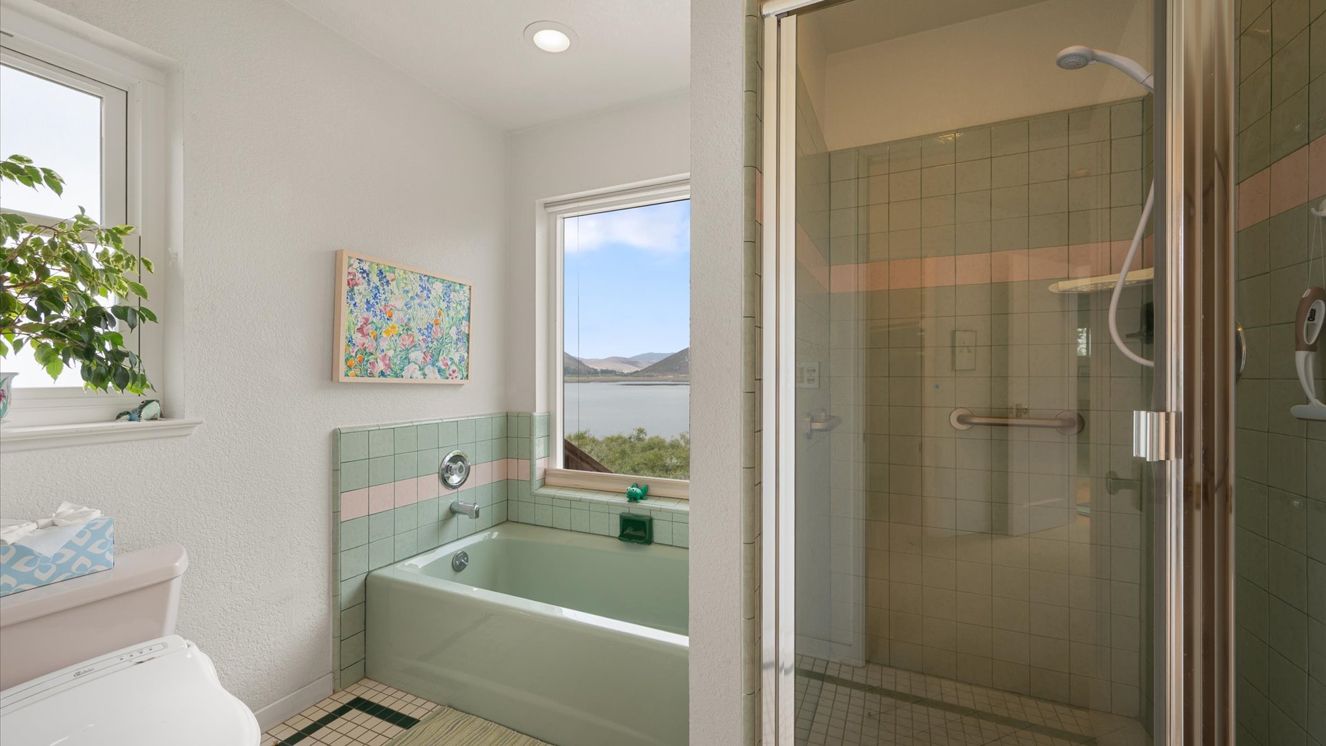En suite master bath with soaking tub and seperate step in shower