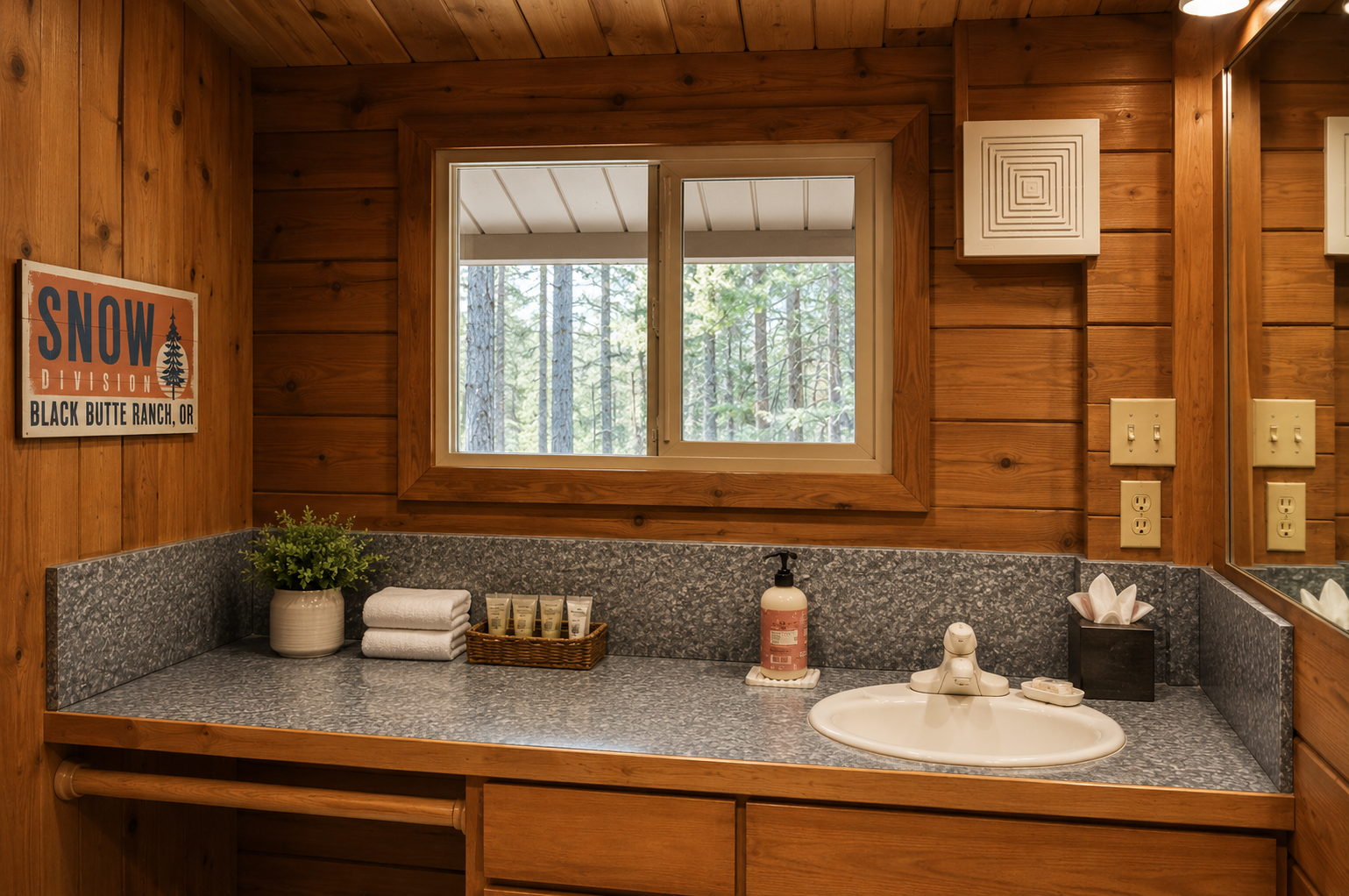 Freshen up in this cozy cabin bathroom with forest views through the window, granite counters, and warm wood accents creating a welcoming mountain retreat.