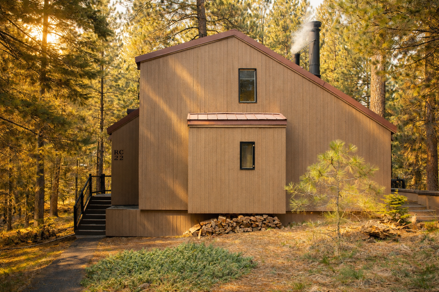 Modern cabin nestled among towering pines with warm wood siding and natural surroundings for a peaceful forest retreat.