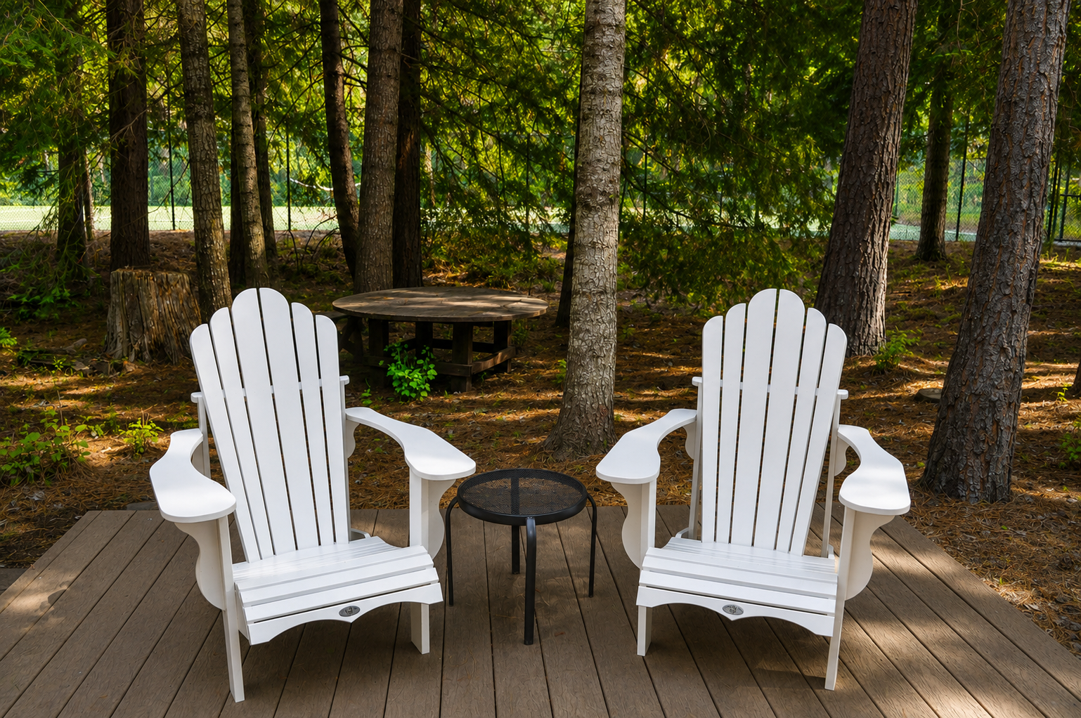 Settle into these classic Adirondack chairs and soak up the peaceful forest views. Your private outdoor retreat awaits, perfect for morning coffee or evening relaxation.
