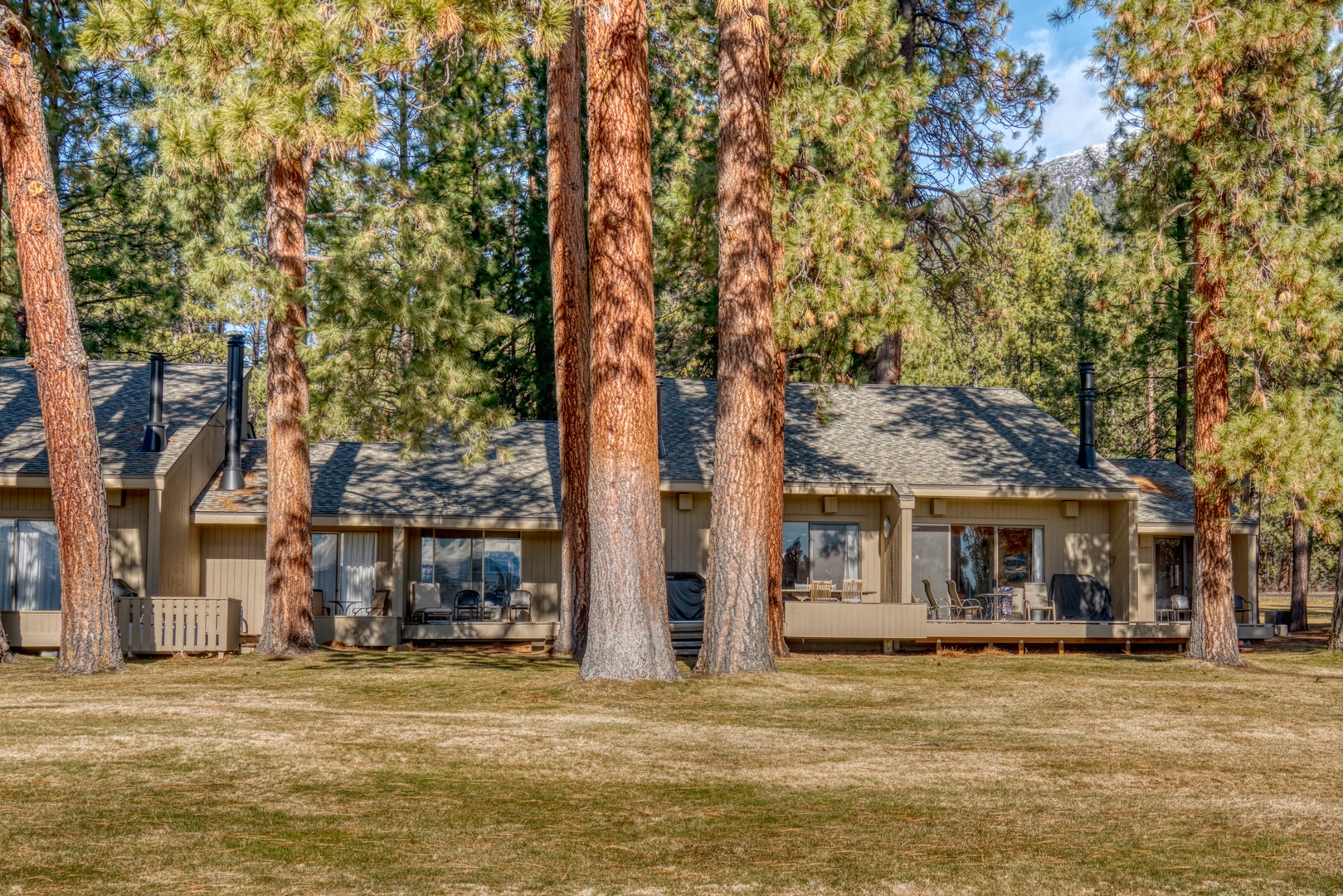 A peaceful mountain cabin nestled among towering pine trees, offering a serene forest retreat with natural beauty surrounding the property.