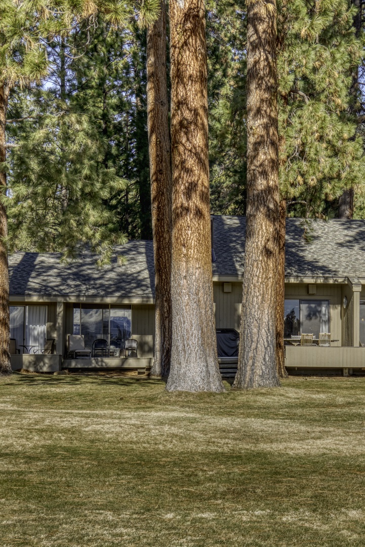 Property nestled among towering pines with spacious lawn area and mountain views in the background.