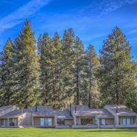 A modern property nestled among towering evergreen trees under brilliant blue skies, offering a peaceful mountain retreat setting.