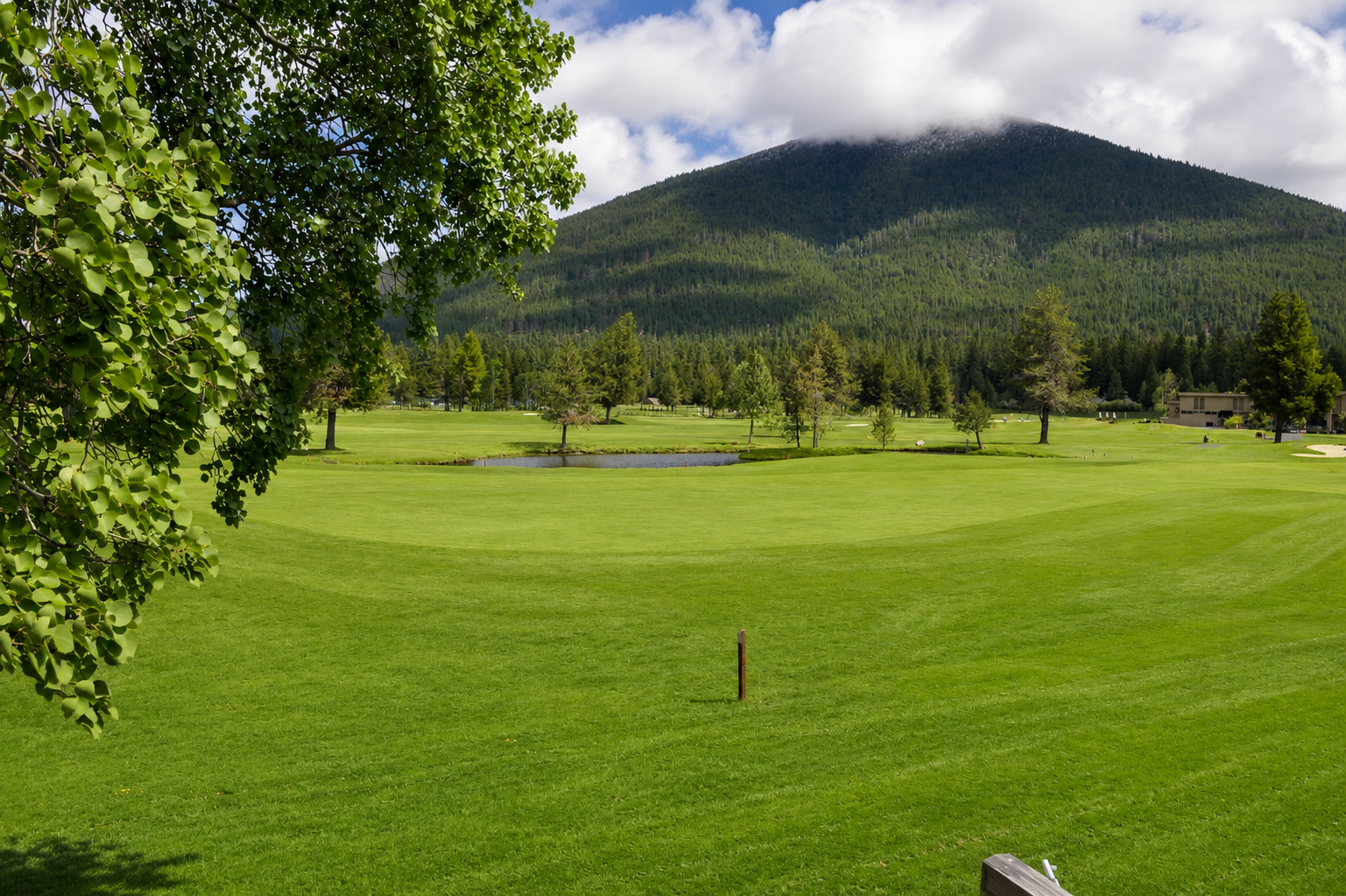 A scenic golf course surrounded by dense forest and dramatic mountain peaks creates a stunning natural setting in this peaceful outdoor area.