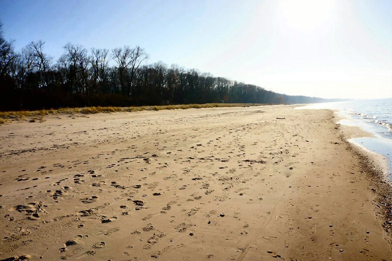 Gordon beach