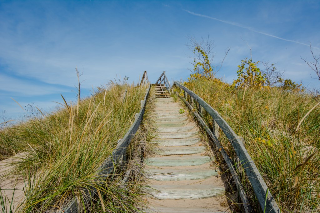 New Buffalo Beaches