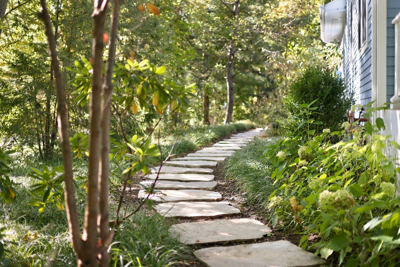 Stone Path