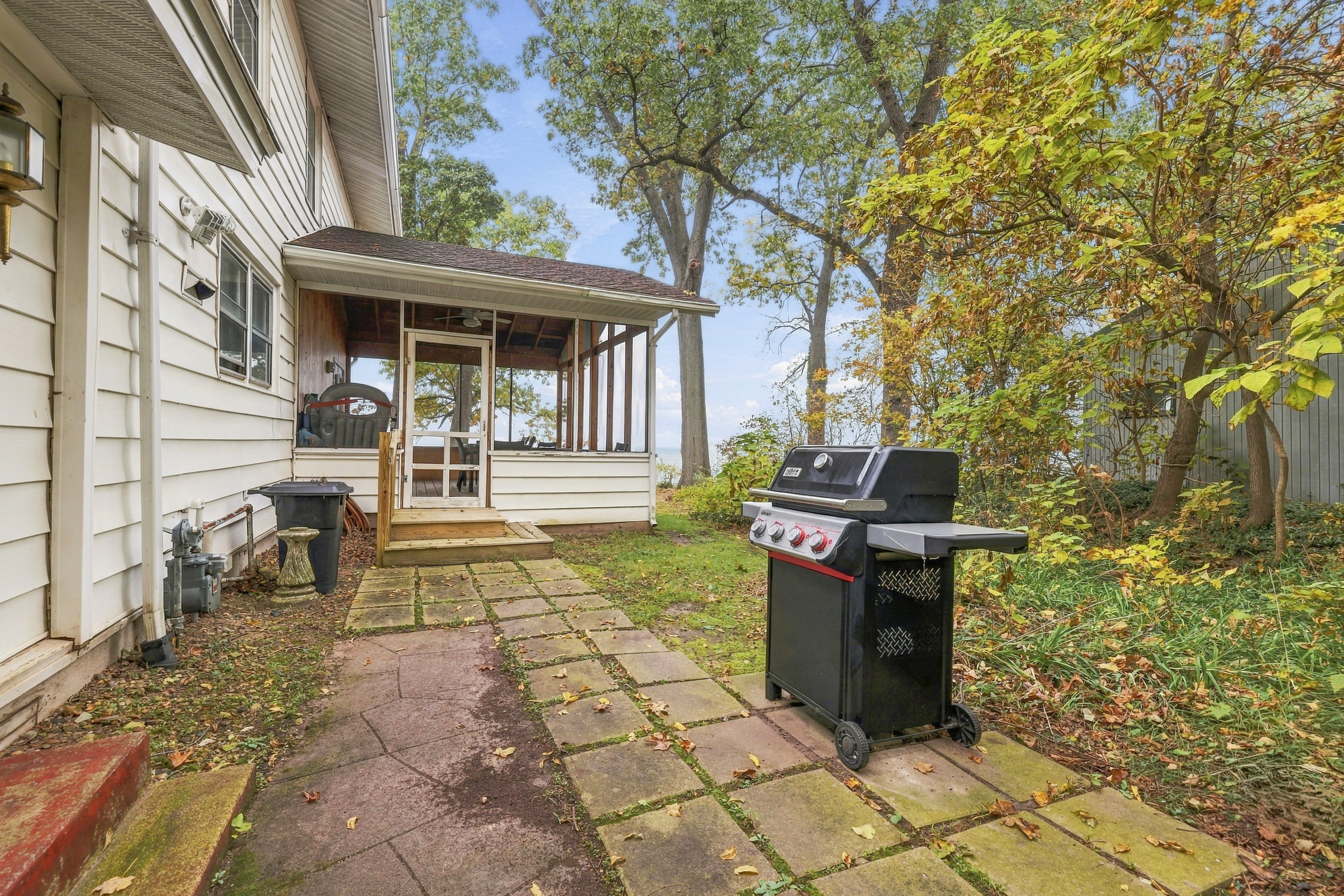 Outdoor Gas Grill
