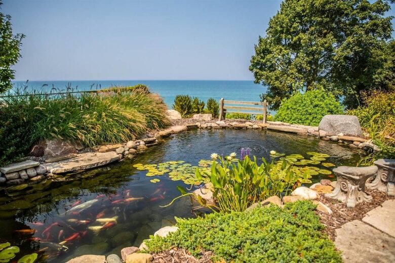 Koi Pond