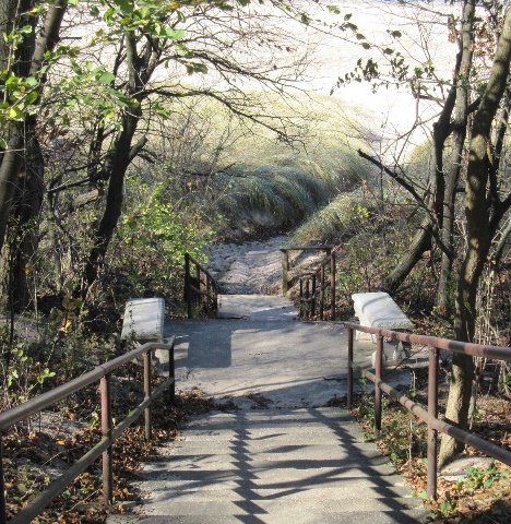 Stairs to Paradise!