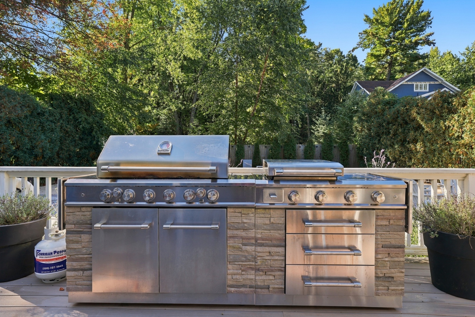 Gas Grill