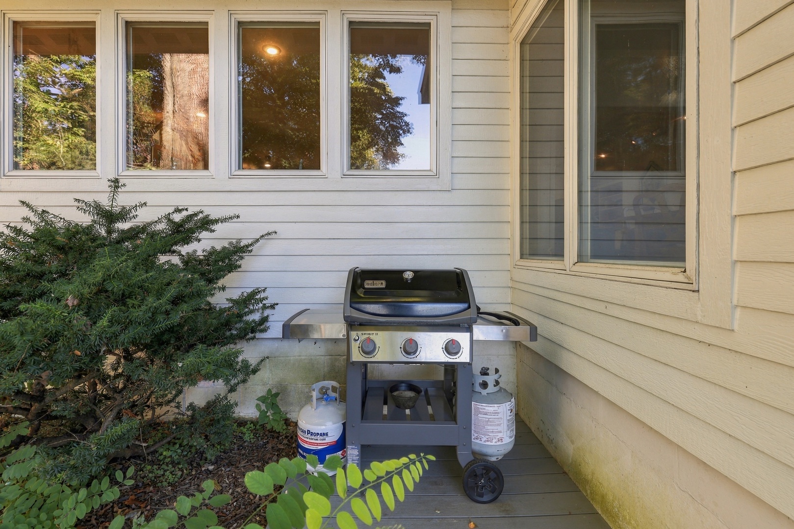 Private Gas Grill