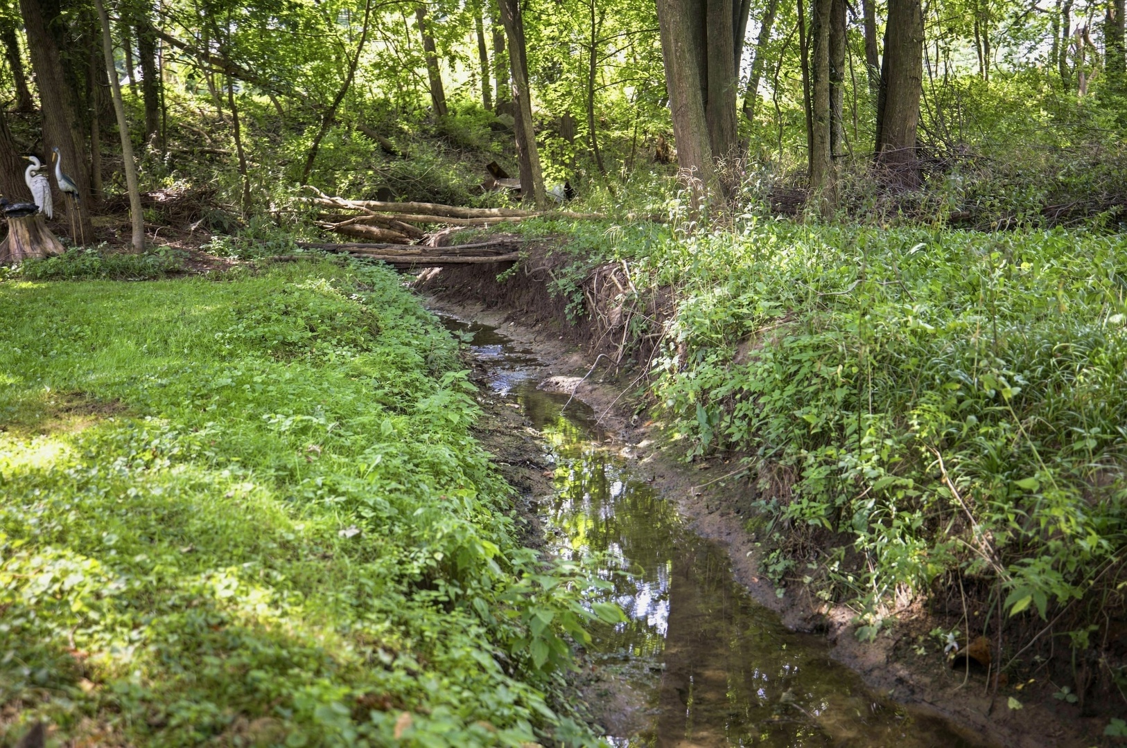Nature Surrounds