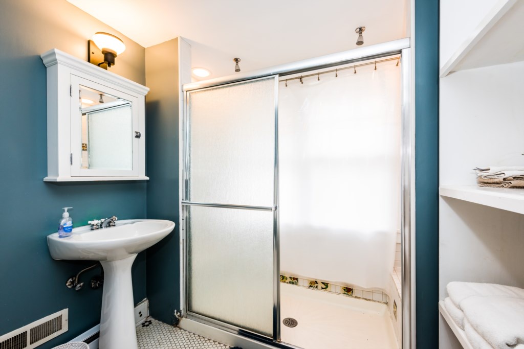 Lower Level Bathroom