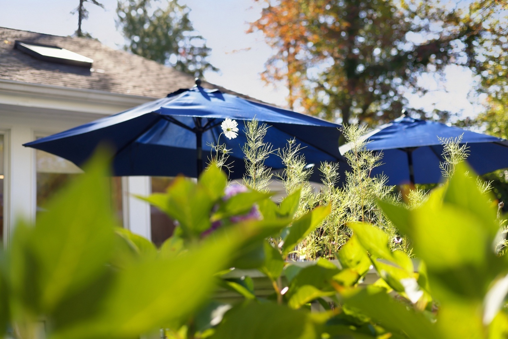 Landscaped Gardens
