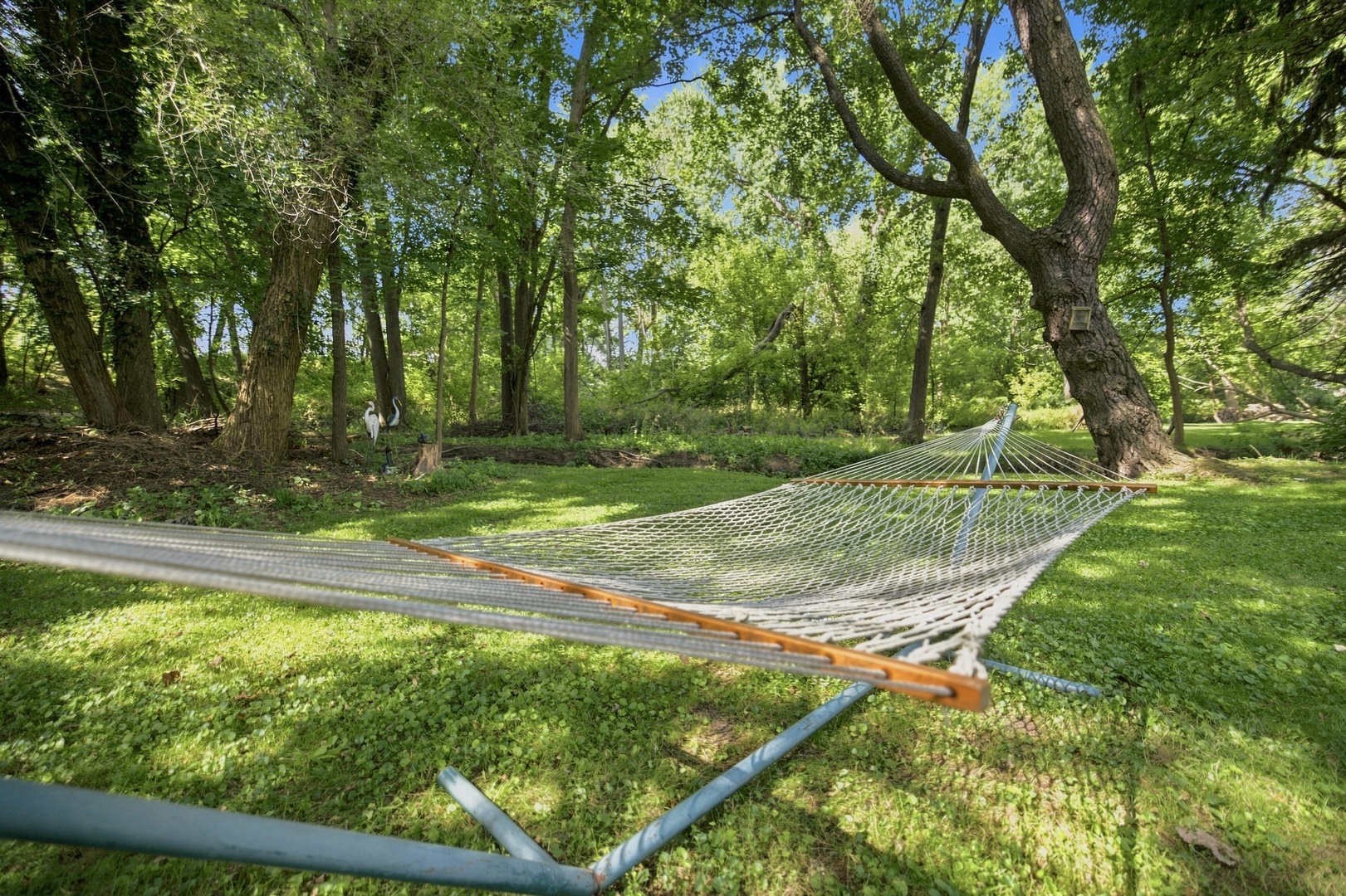 Shaded Hammock