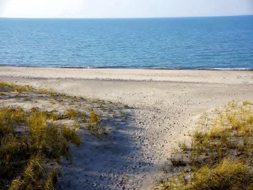 Beach A Short Walk Away