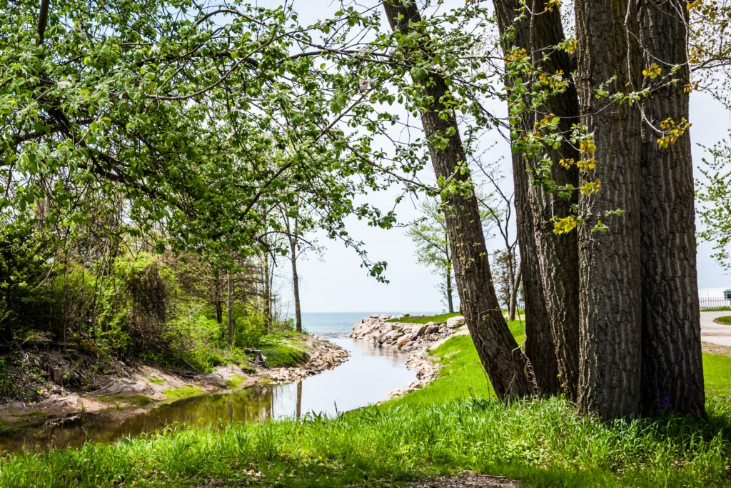 Partial lake views from house!