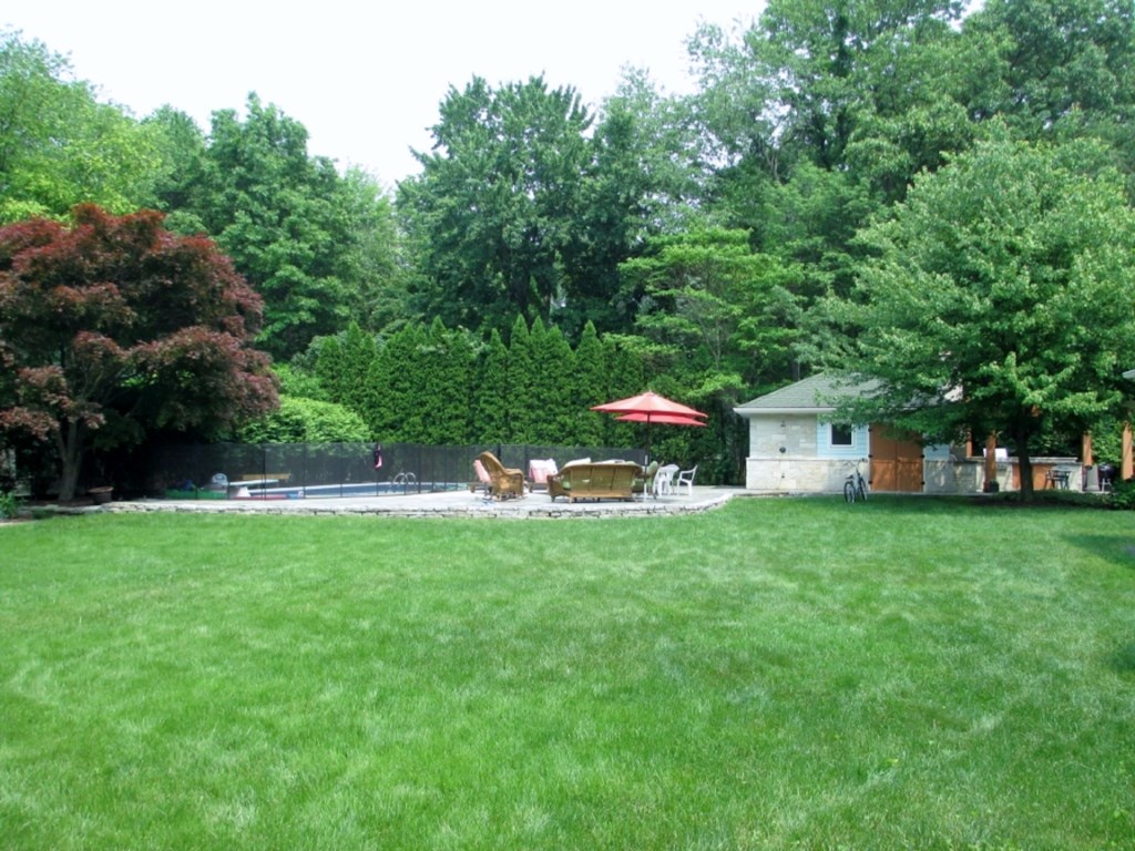 Backyard and Patio Area