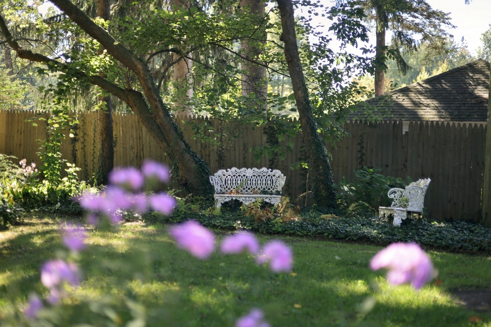 Tranquil Setting
