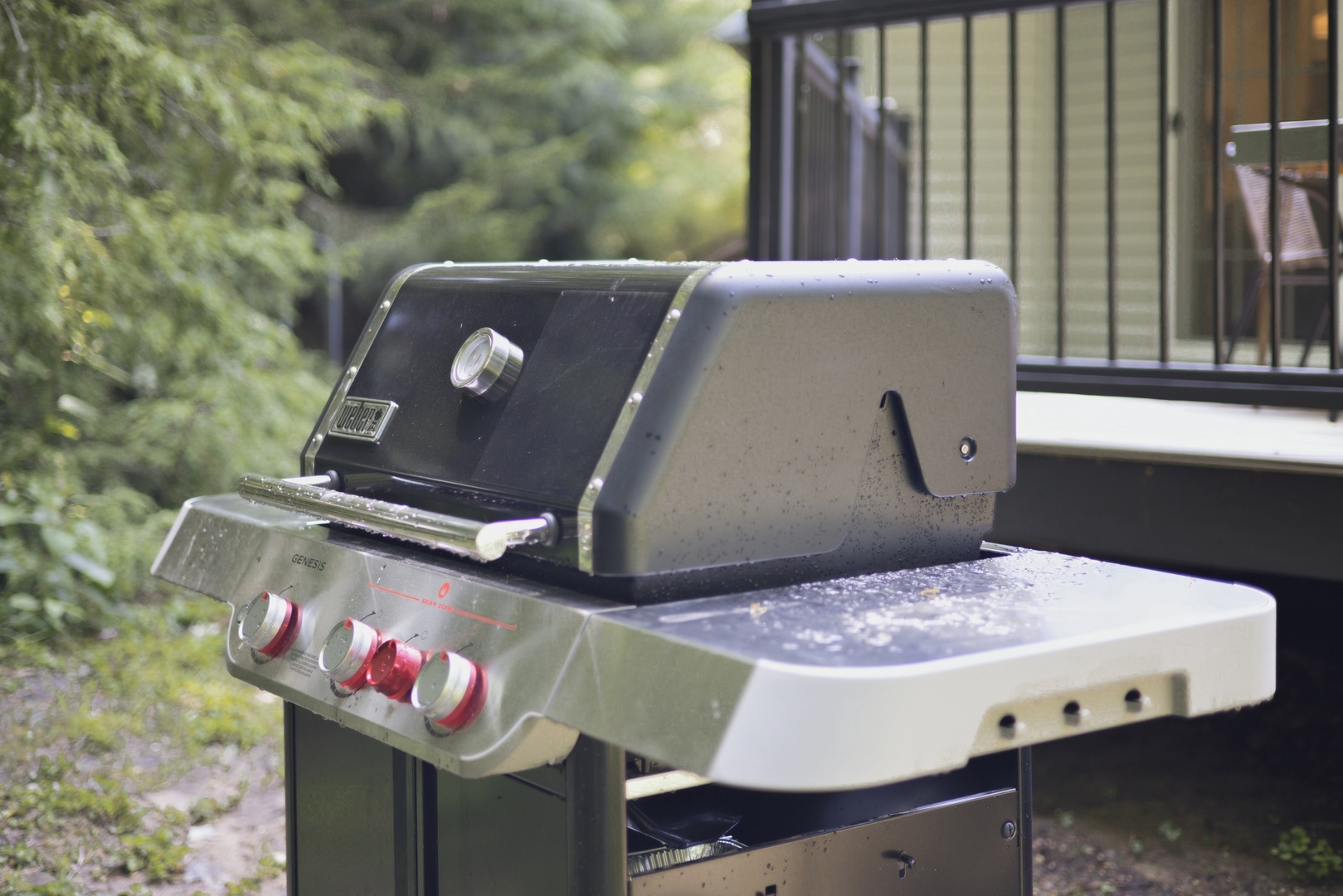 Gas Grill